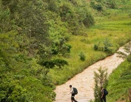 Rwanda Safaris _About Rwanda