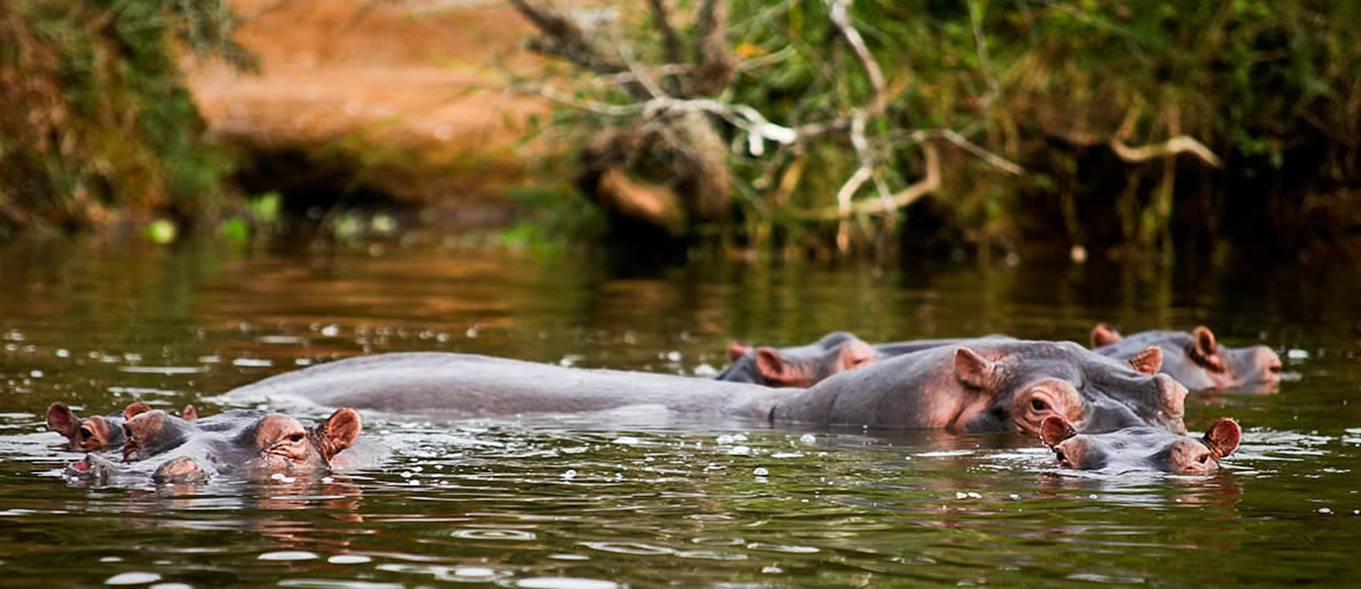 Lake Mburo National Park, Uganda