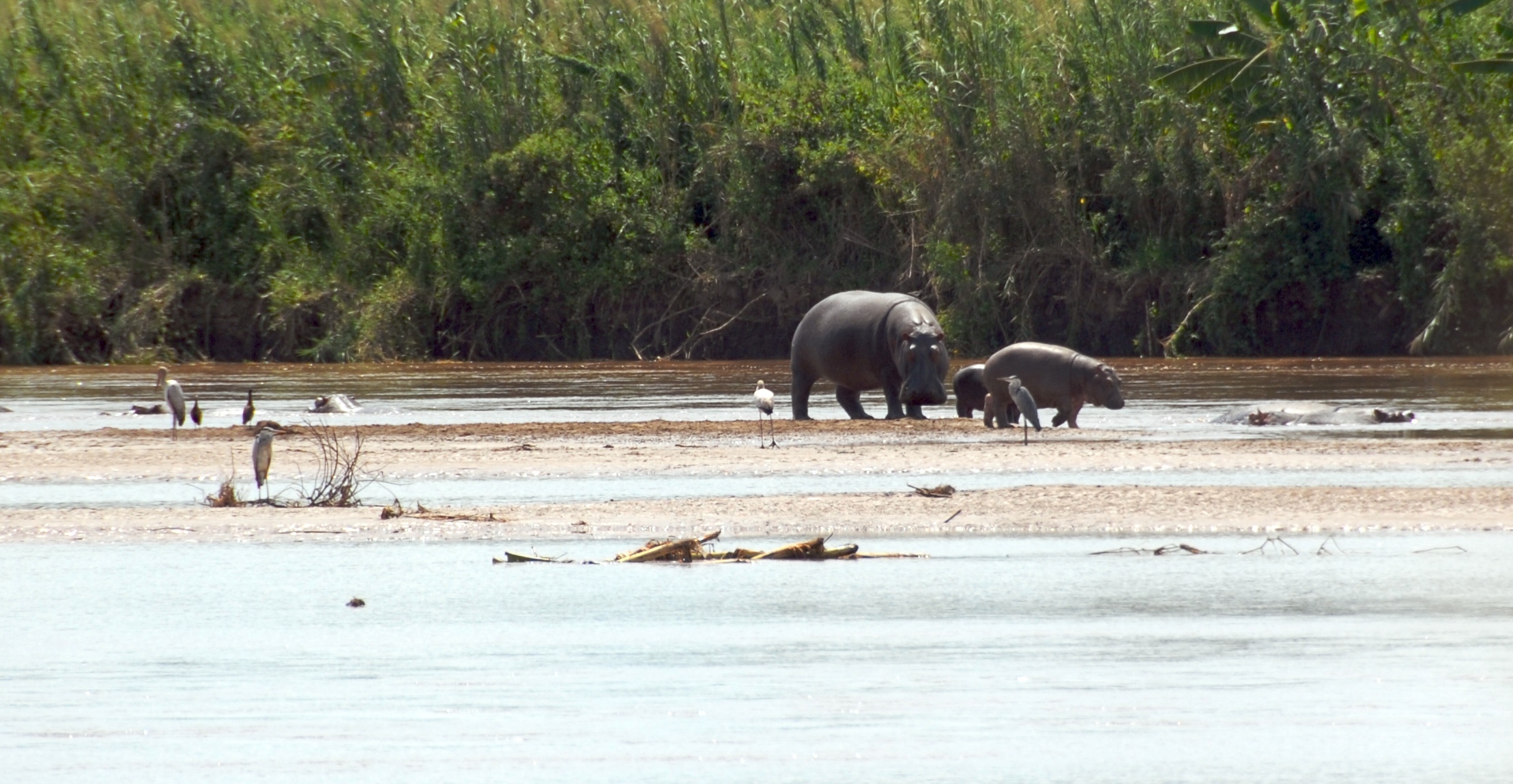 Rusizi national park