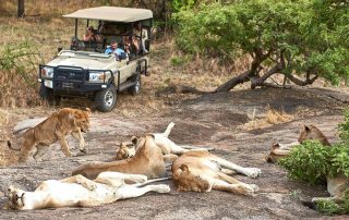 5 days Tanzania northern circuit safari
