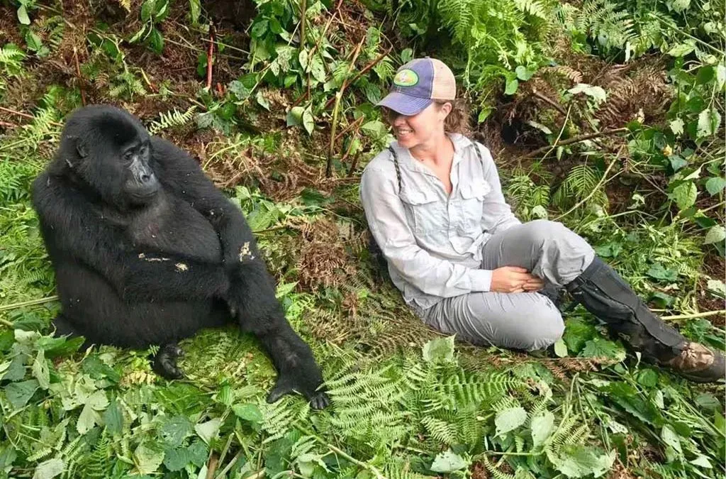 8 Days Uganda primate And Wildlife Safaris 
