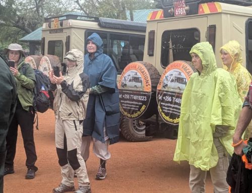 Ebola outbreak in Uganda 2026