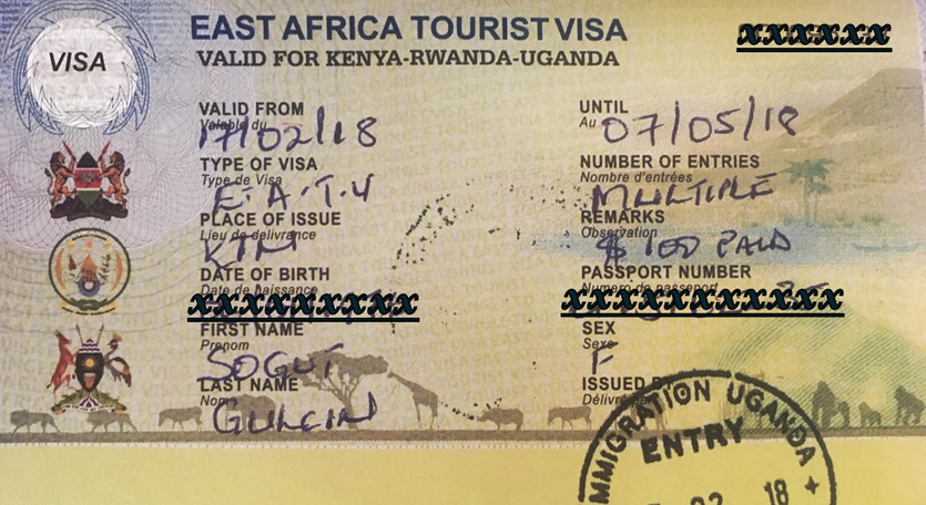 East African Visa
