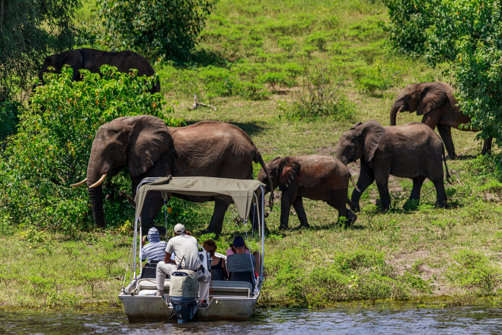 1 Day trip to Chobe National Park 